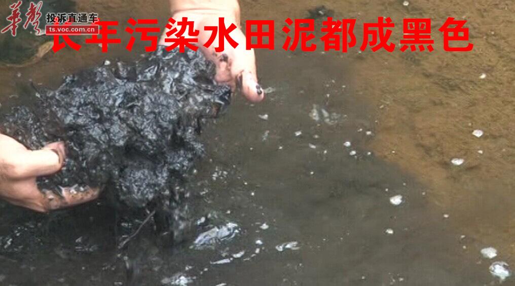 湖南芷江县垃圾场水源环境严重污染让全组村民